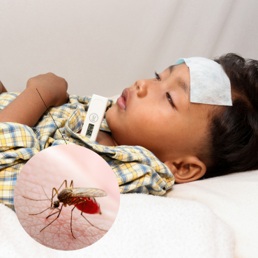 Nguy cơ bùng phát sốt xuất huyết tại TP.HCM: Nhận biết sớm để bảo vệ trẻ đúng cách